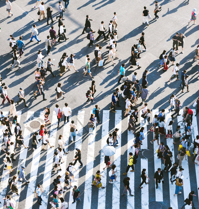 Local EC marketing plan